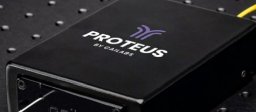 proteus